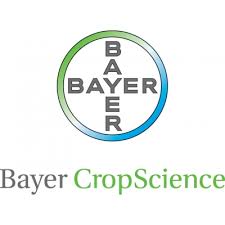 bayer