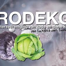 rodeko